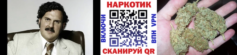 Где продают наркотики Чудово МАРИХУАНА  Мефедрон  A-PVP  Гашиш  кракен зеркало  Cocaine 