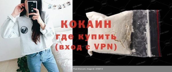 бошки Белокуриха