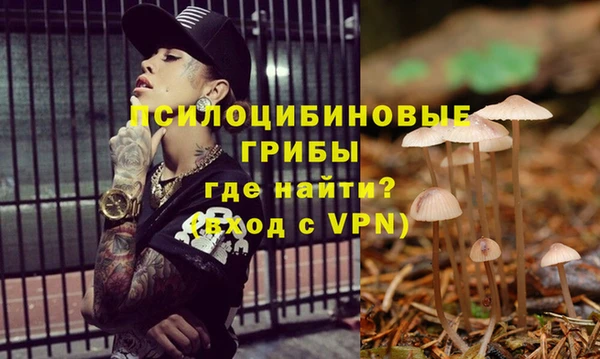 бошки Белокуриха
