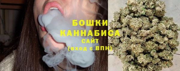 бошки Белокуриха